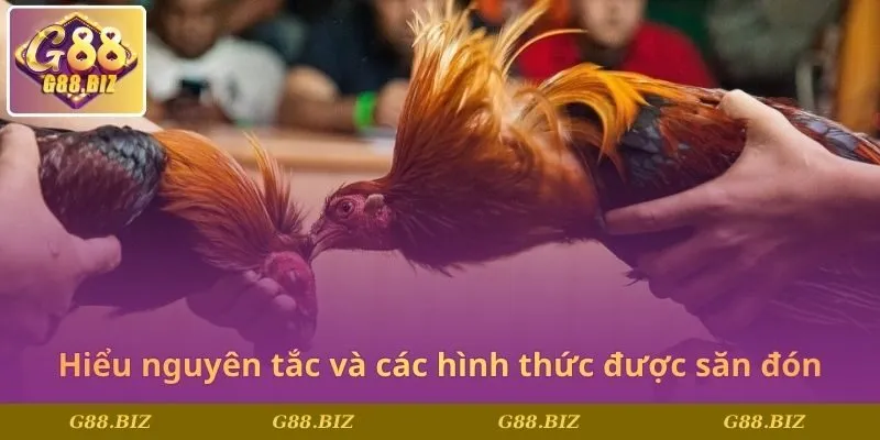 Hiểu nguyên tắc và các hình thức được săn đón