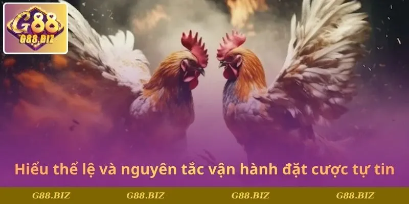 Hiểu thể lệ và nguyên tắc vận hành giúp đặt cược tự tin