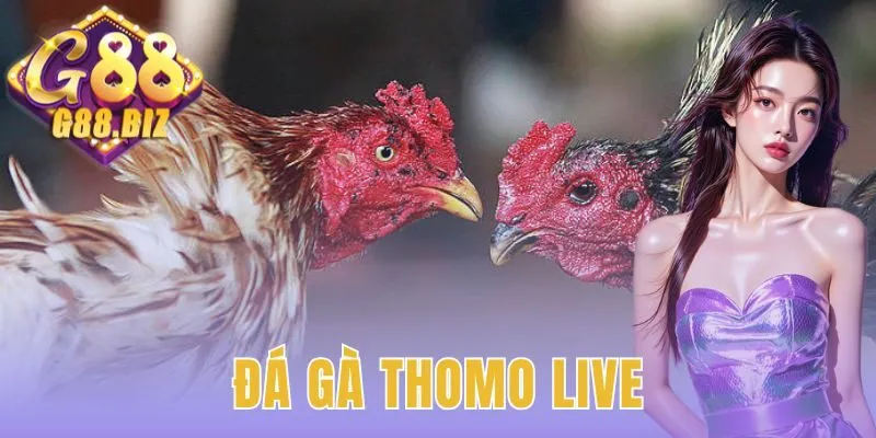 Đá Gà Thomo Live