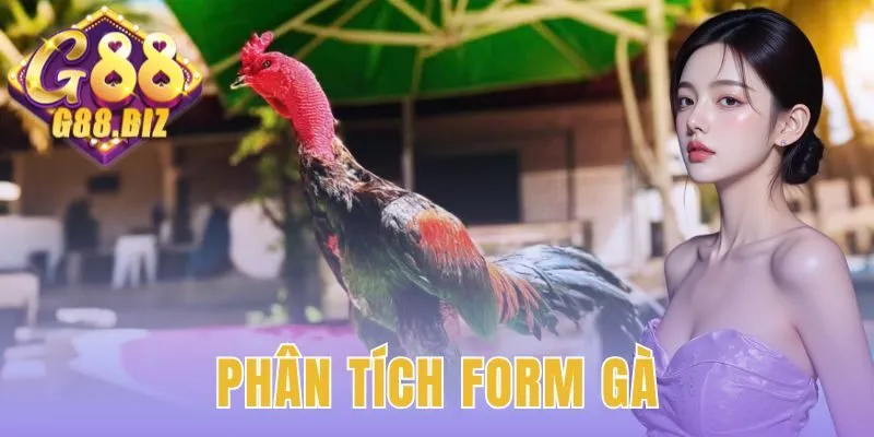 Phân tích form gà
