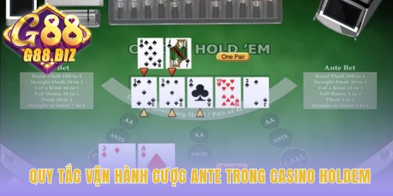 Cược Casino Holdem Ante quyết định tố gấp đôi hay bỏ bài