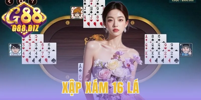 Xập Xám 16 Lá